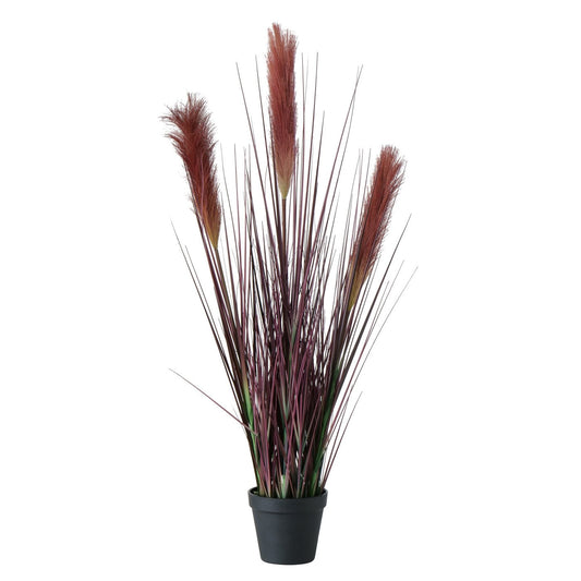 Plant in pot, Bristle Millet 1 DeluxehomeartNL